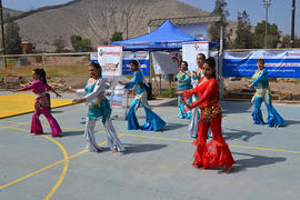 Talleres Tierra amarilla 1