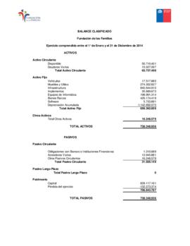Balance anual 2014 1